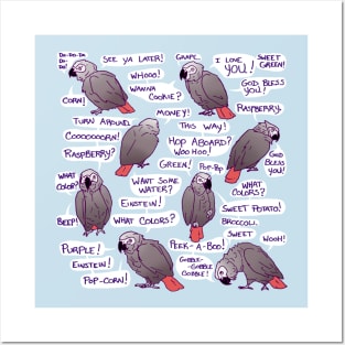 African Grey Parrot Einstein Funny Quotes Posters and Art